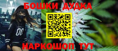 сатива Краснодар