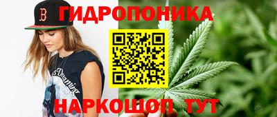сатива Краснодар