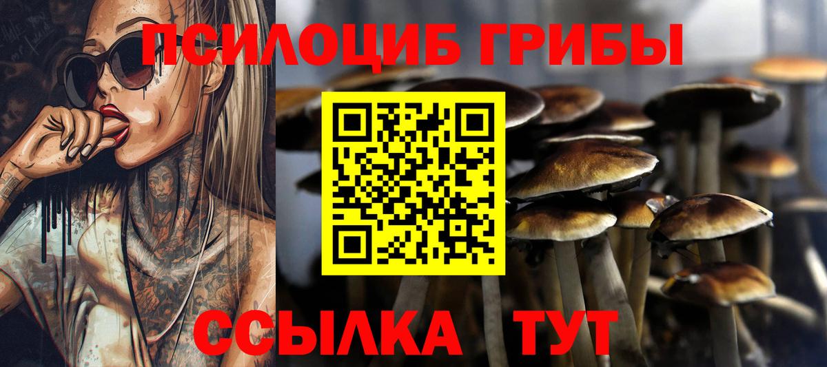 Галлюциногенные грибы Psilocybine cubensis  Псилоцибиновые грибы Cubensis  Ишим  Вход с VPN 
